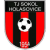 TJ Sokol Holasovice