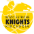 VfL Kirchheim Knights