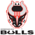 Birmingham Bulls