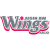 Aishin AW Wings