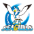 Okayama Seagulls